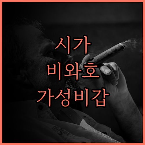 시가 비와 레이크 산수이 하우스, 가