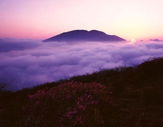 2025 가을 전라도 단풍 명소 BEST ❘ 내장산·지리산·백암산 절정 시기 &amp; 코스