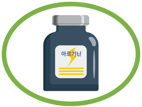 아르기닌-효능