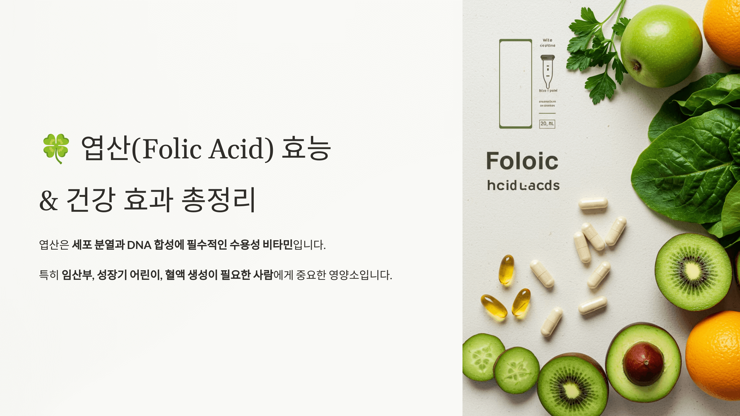 엽산과 관련된 사진입니다.