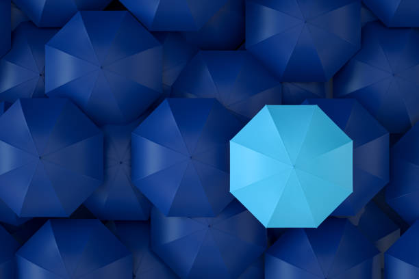 2030 목돈마련 디딤돌저축보험