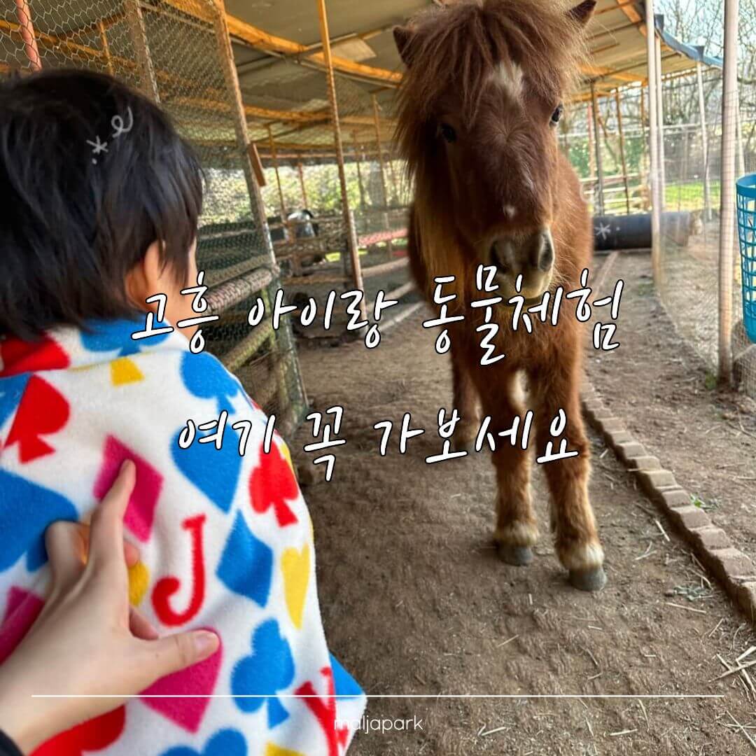 고흥 아이랑 동물 체험 하빛율빠꿈사리 당나귀 먹이 체험