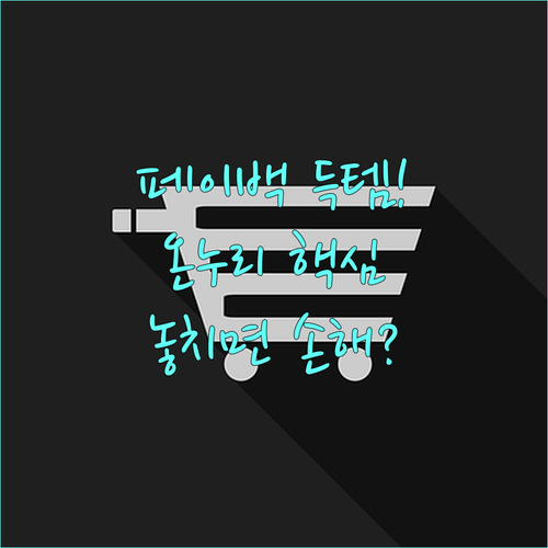 내수 활성화 상생페이백 디지털 온누리..