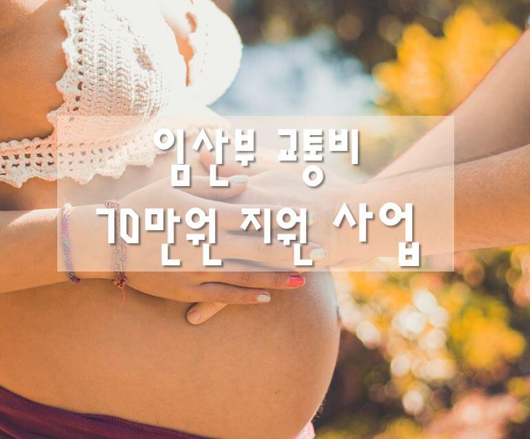 임산부 교통비 지원