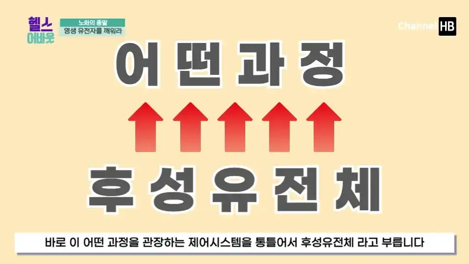 일본 NMN 영양제