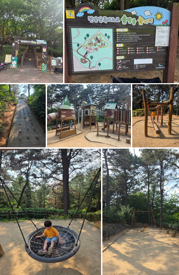 천안 상록랜드 이용 팁 ❘ 입장료·운영시간·키 제한 + 6살 아이 후기