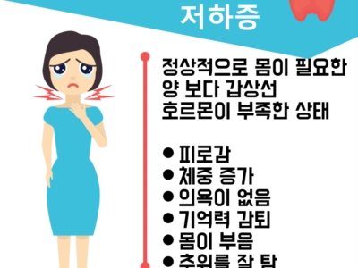 갑상선 이미지
