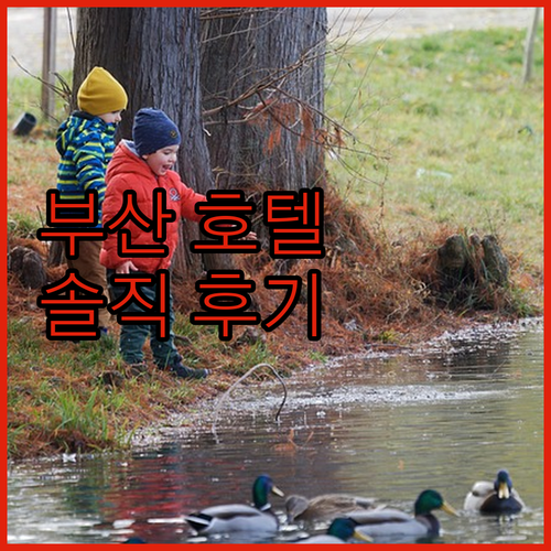 부산 그리핀베이 호텔, 가성비 숙소일