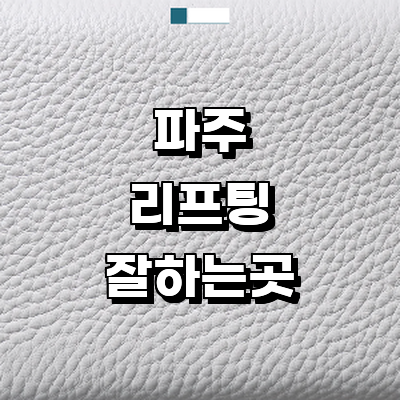 파주시 리프팅 병원