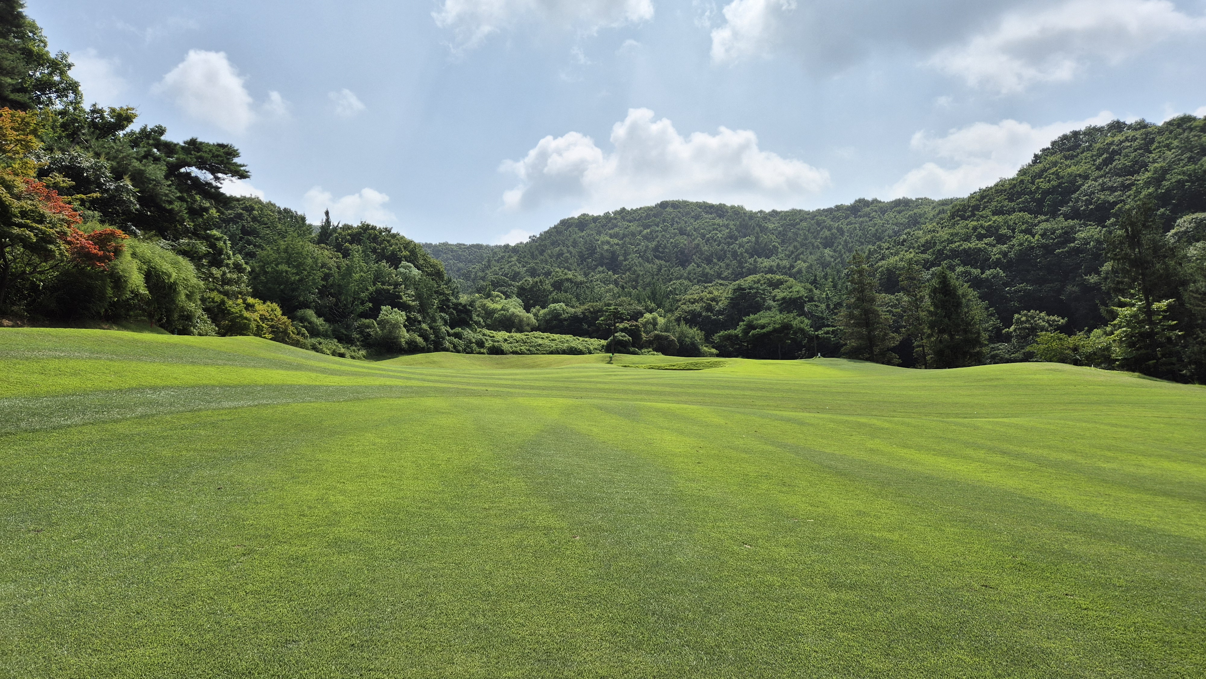 골프존카운티 안성H