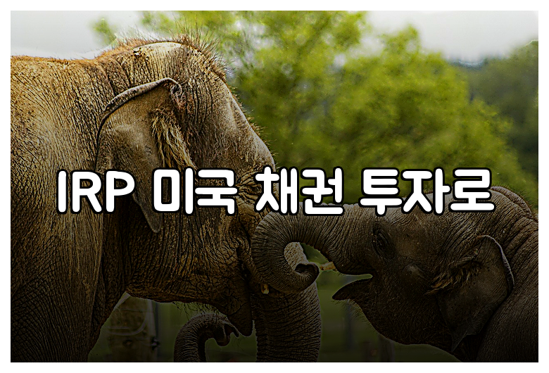 IRP 미국 채권 투자로