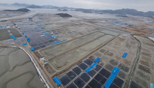 천일염 방사능 검사 강화 이슈