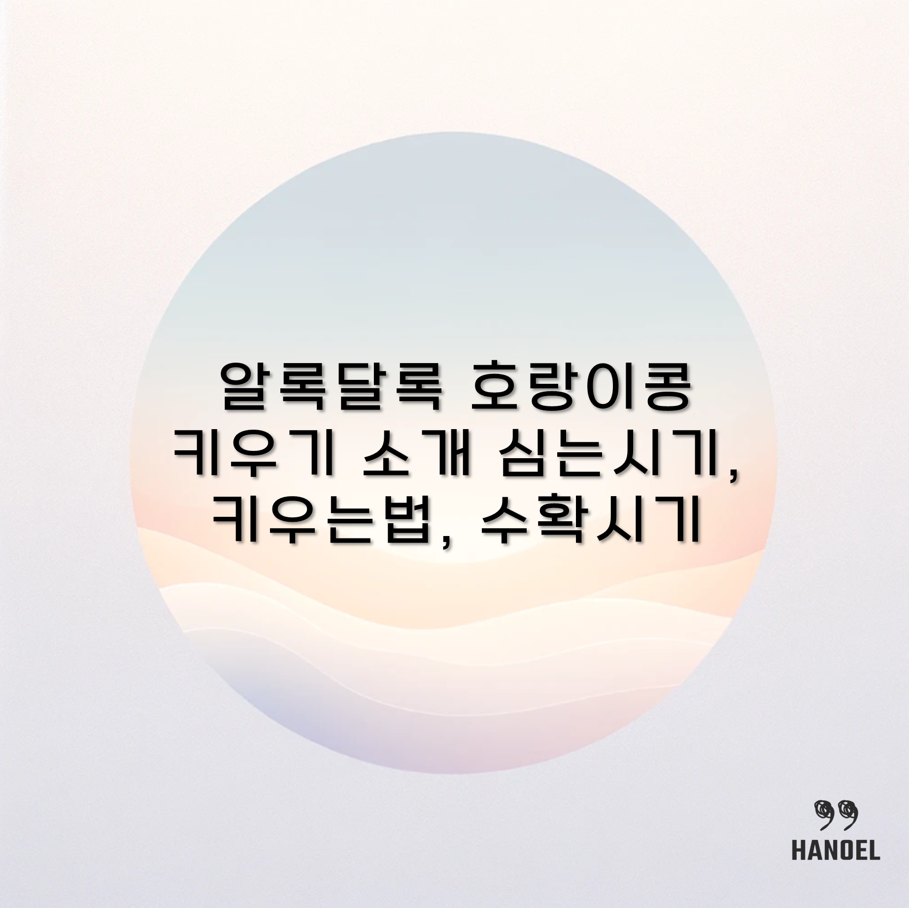 알록달록 호랑이콩 키우기 소개 심는시기, 키우는법, 수확시기