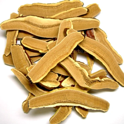 슬라이스한 영지버섯