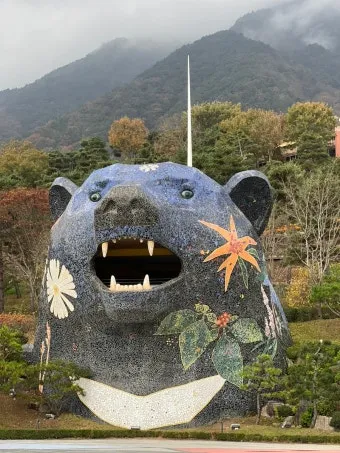 동의보감촌 꽃양귀비 축제 개화 시기와 볼거리_7