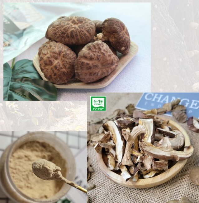 오늘N 가족이 뭐길래 솔향 가득 자연이 키운 마니네농장 유기농표고버섯