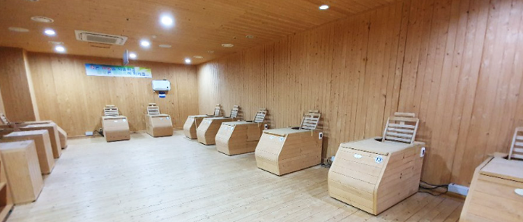 장흥 우드랜드 편백숲