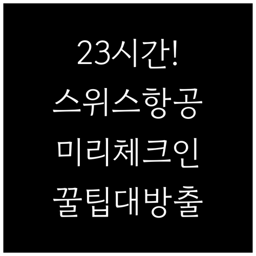 스위스 국제항공 출발 23시간 전 체..