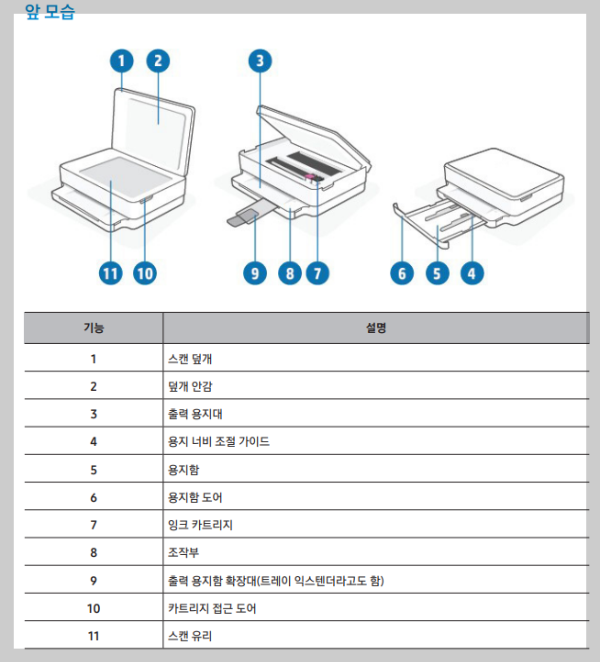 앞모습