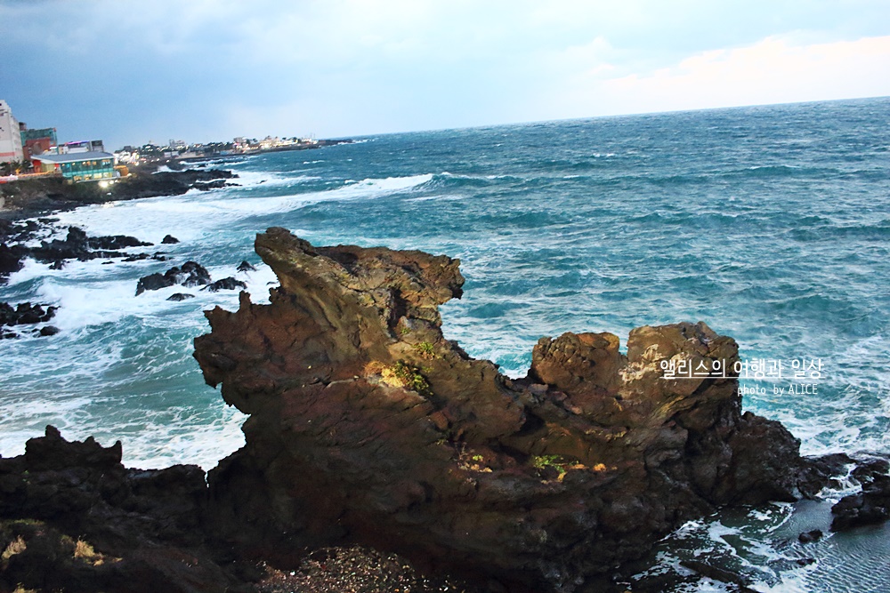 제주 앨리스 앤 트렁크 호텔 주변 제주공항 근처 가볼만한곳 BEST 10