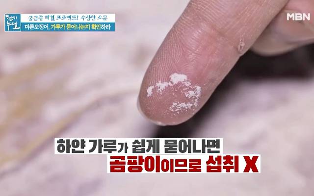 마른 오징어 하얀가루 곰팡이 마른오징어보관법
