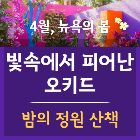 밤의 정원 산책, 오키드 나이트