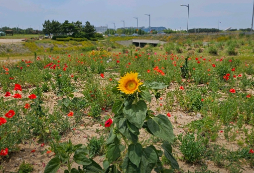 영종도 가볼만한 곳 BEST 5곳