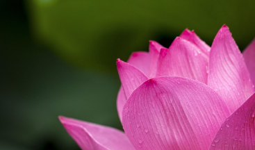 옴마니 반메훔의 뜻 정리 및 일상 적용방법(6글자 의미)