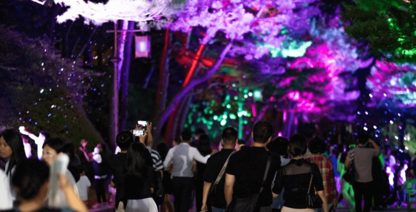 청와대 관람신청, 야간개장(야간관람신청)