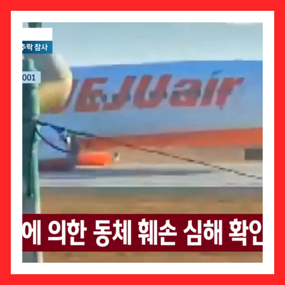 무안공항-여객기-추락-항공기-사고