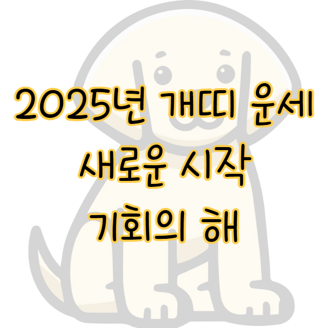 2025년 개띠 운세 새로운 시작과 기회의 해 표지