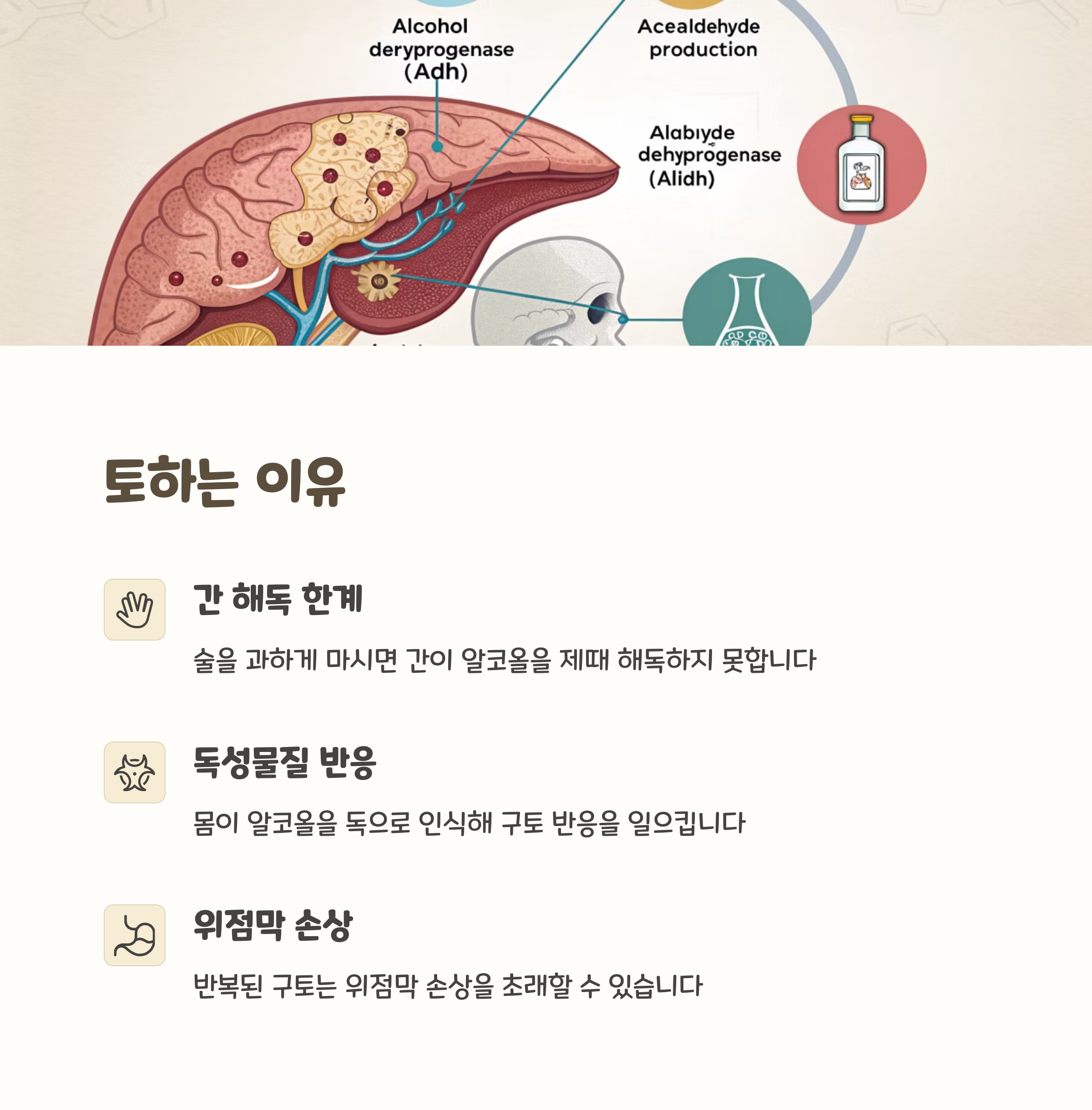 술먹고토