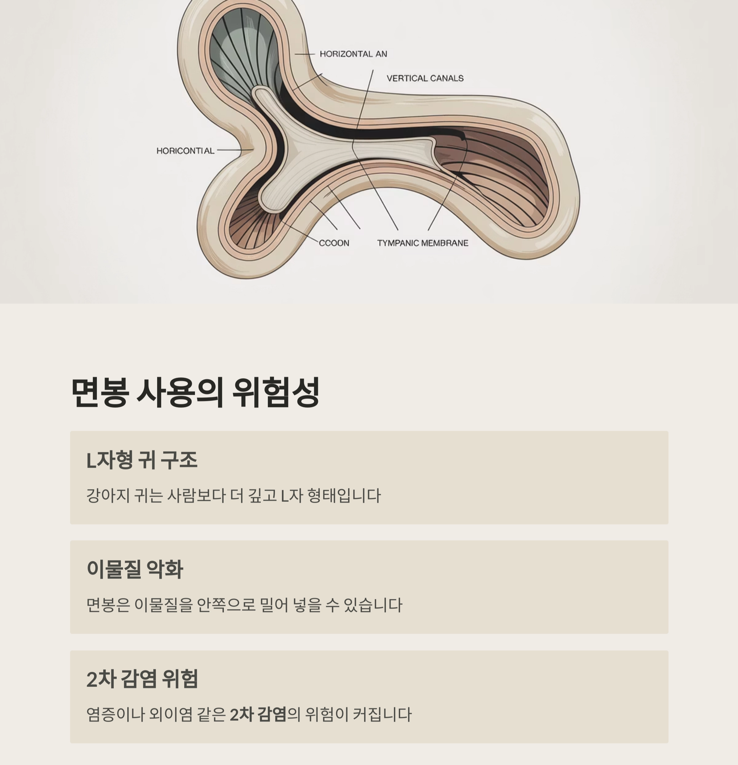 강아지 귀청소, 면봉은 금물! 전용 귀세정제가 필요한 이유