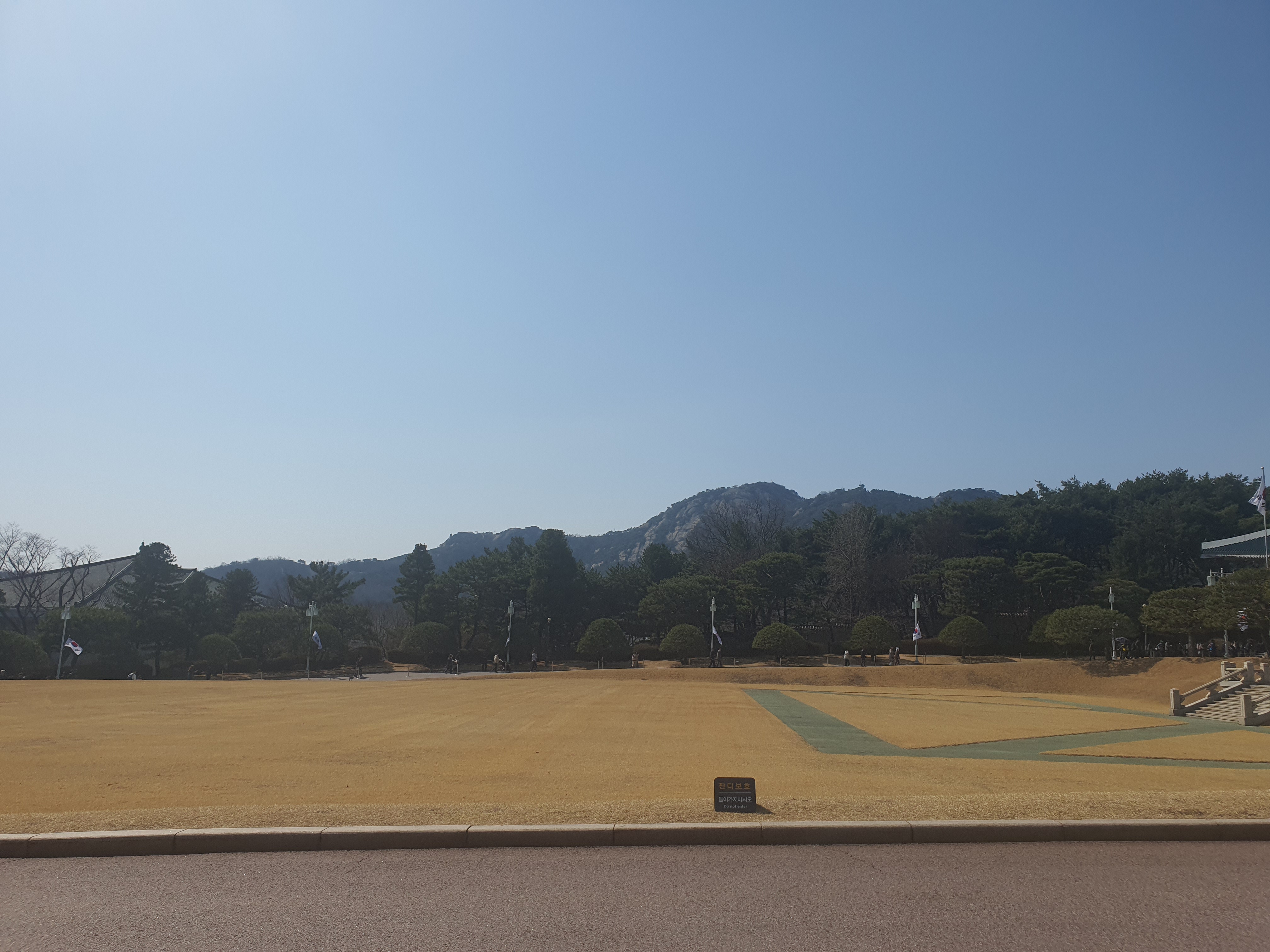 청와대