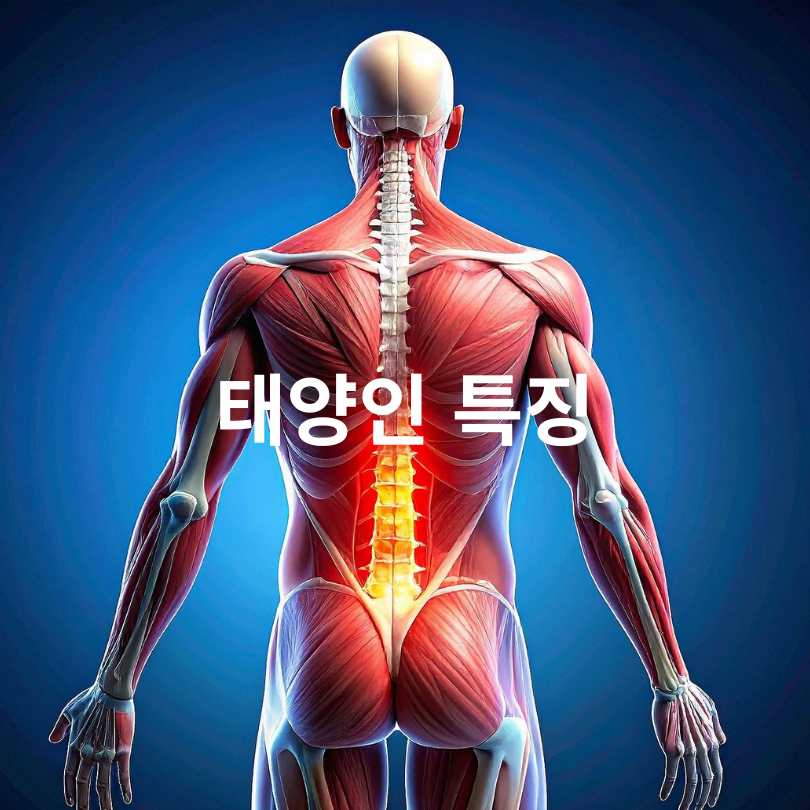 사상체질 자가진단: 태양인, 태음인, 소양인, 소음인 차이점과 테스트