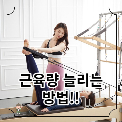 근육량을 늘리는 방법