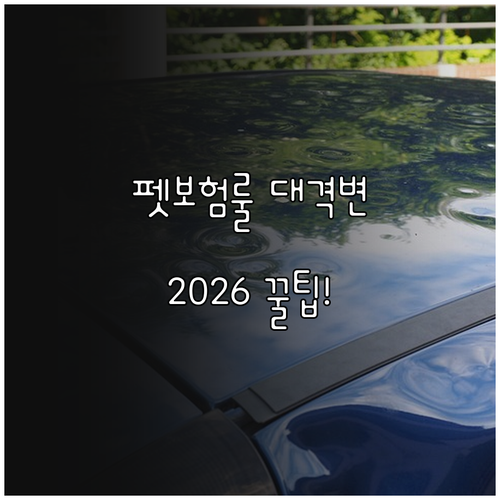 2026년 달라진 펫보험 룰, 꼭 알..