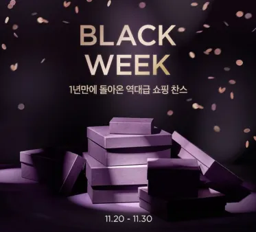블랙프라이데이 기간