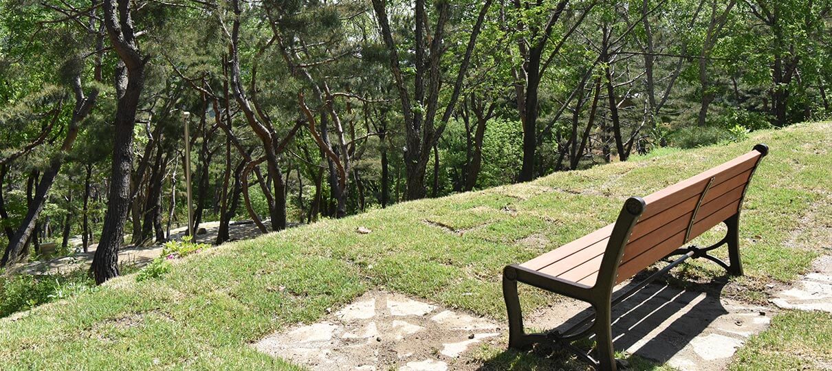 멍때리기 좋은 쉬자파크