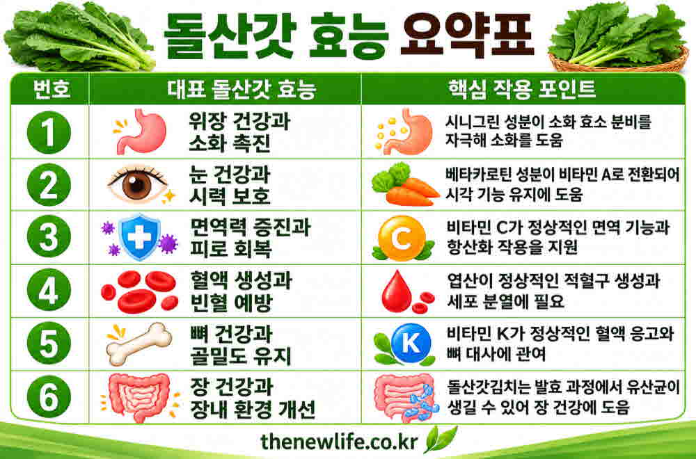 돌산갓 효능 요약표