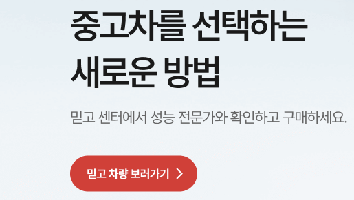 엔카 믿고 차량 보러가기 표