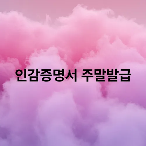 인감증명서 주말발급