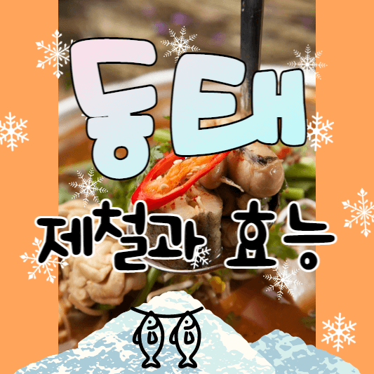 동태(명태)에 대한 내용의 포스팅임을 알려주는 섬네일