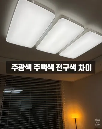 주광색 주백색 차이 비교 차이점_18