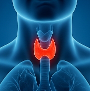 갑상선 기능 저하증
