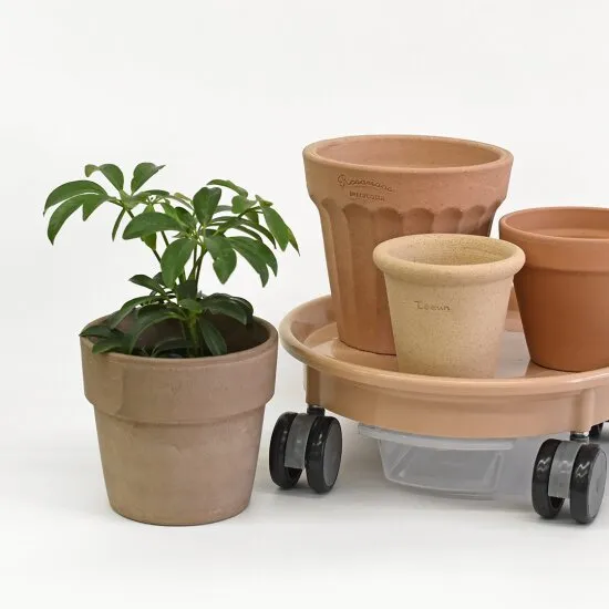 물받침 관리 물때제거 냄새억제 세척주기 청결유지 요령_7