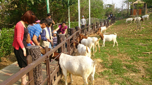 가오슝 여행 추천 가오슝 수산동물원