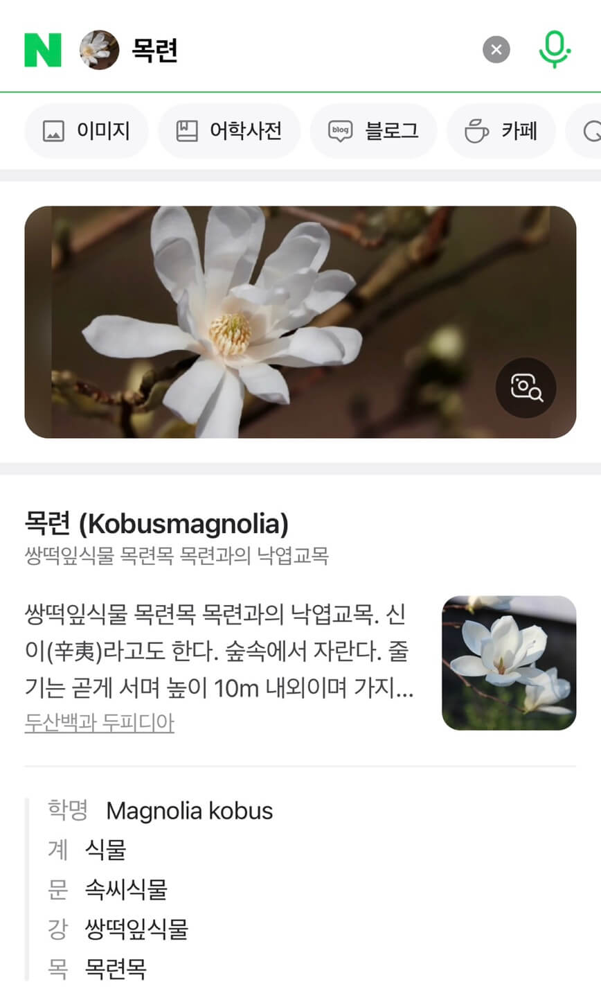 꽃이름 찾기