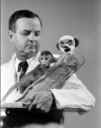 해리-프레드릭-할로우-Harry-Frederick-Harlow