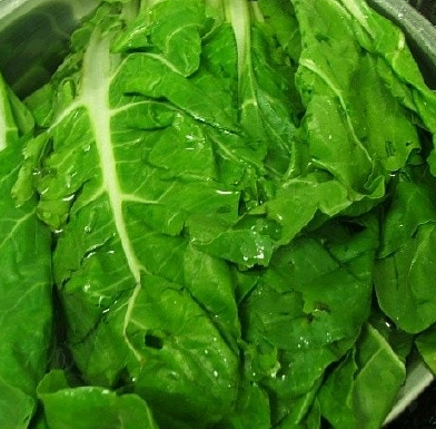 근대 효능과 부작용 나물 먹는법 고르는법 칼로리